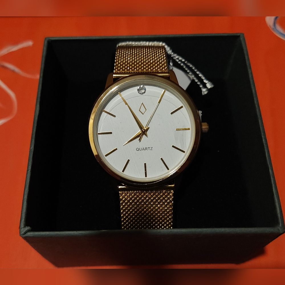 Nic & Syd Men’s Gold Mesh Watch with Swarovski Crystal Accent